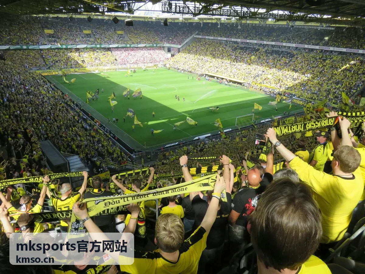 mksports官方网站进阶奖励图